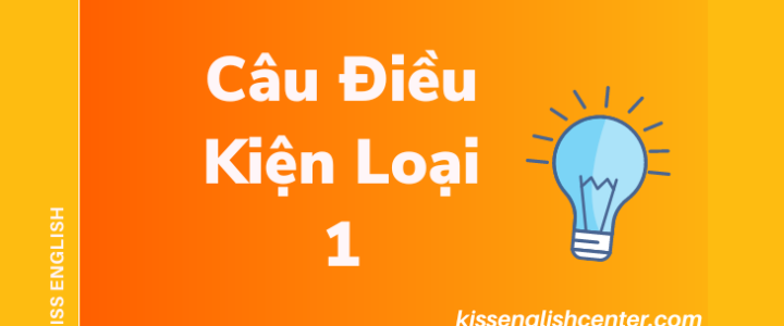 cau-dieu-kien-loai-1